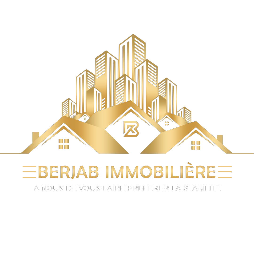 Br immobilière 